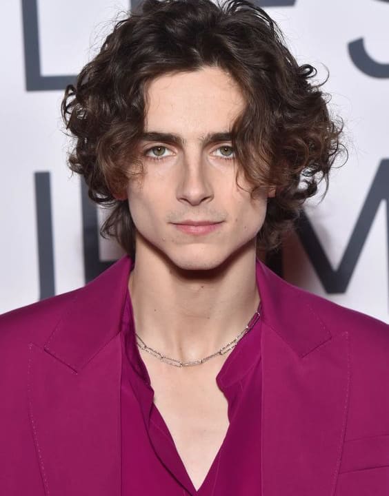 Timothee Chalamet - Long Hairstyles For Men - Bewakoof Blog