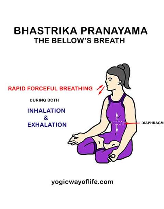  Bhastrika Pranayama for weight loss 
