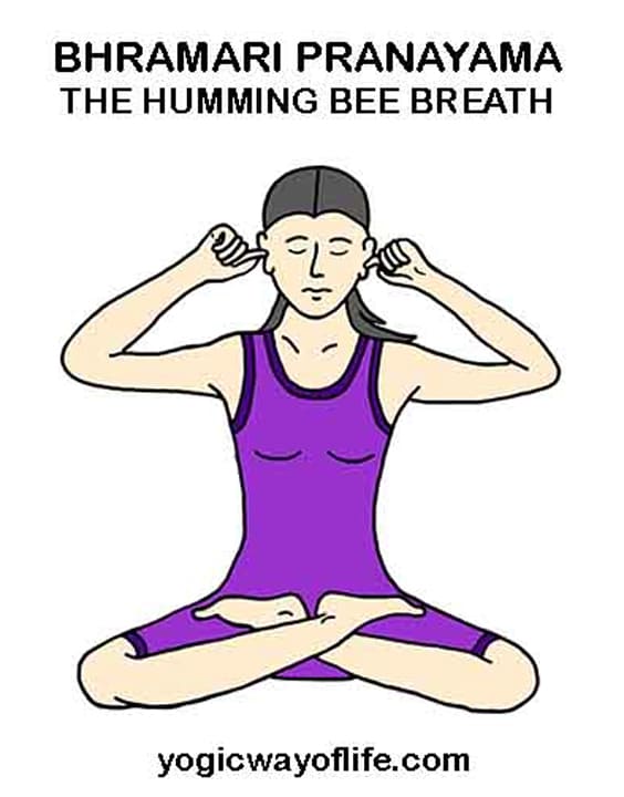 Bhramari Mudra Pranayama (Humming Bee Breathing Technique)