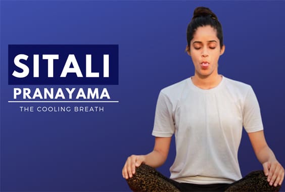 Sitali Pranayama (Cool down breath)