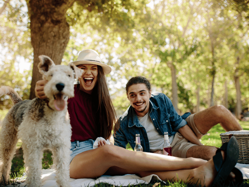 Plan an Outdoor Picnic